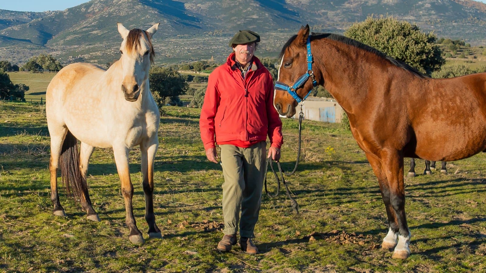 Doma Racional de Caballos de 0 a Profesional
