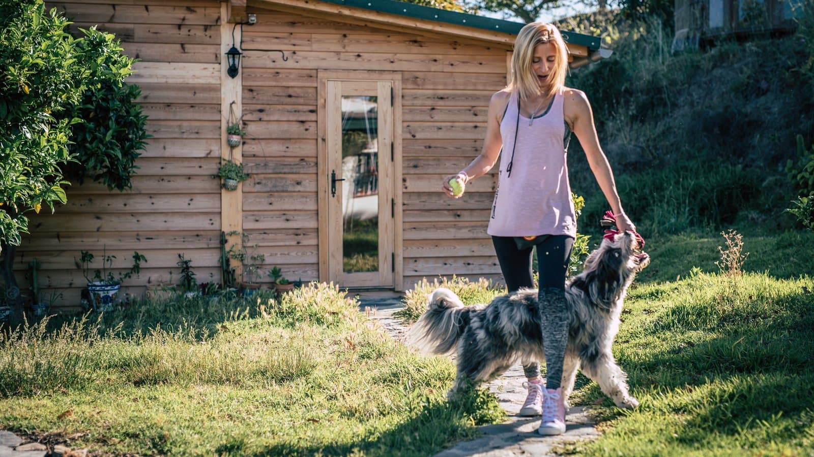Educación canina amable: 'Conecta con tu perro'