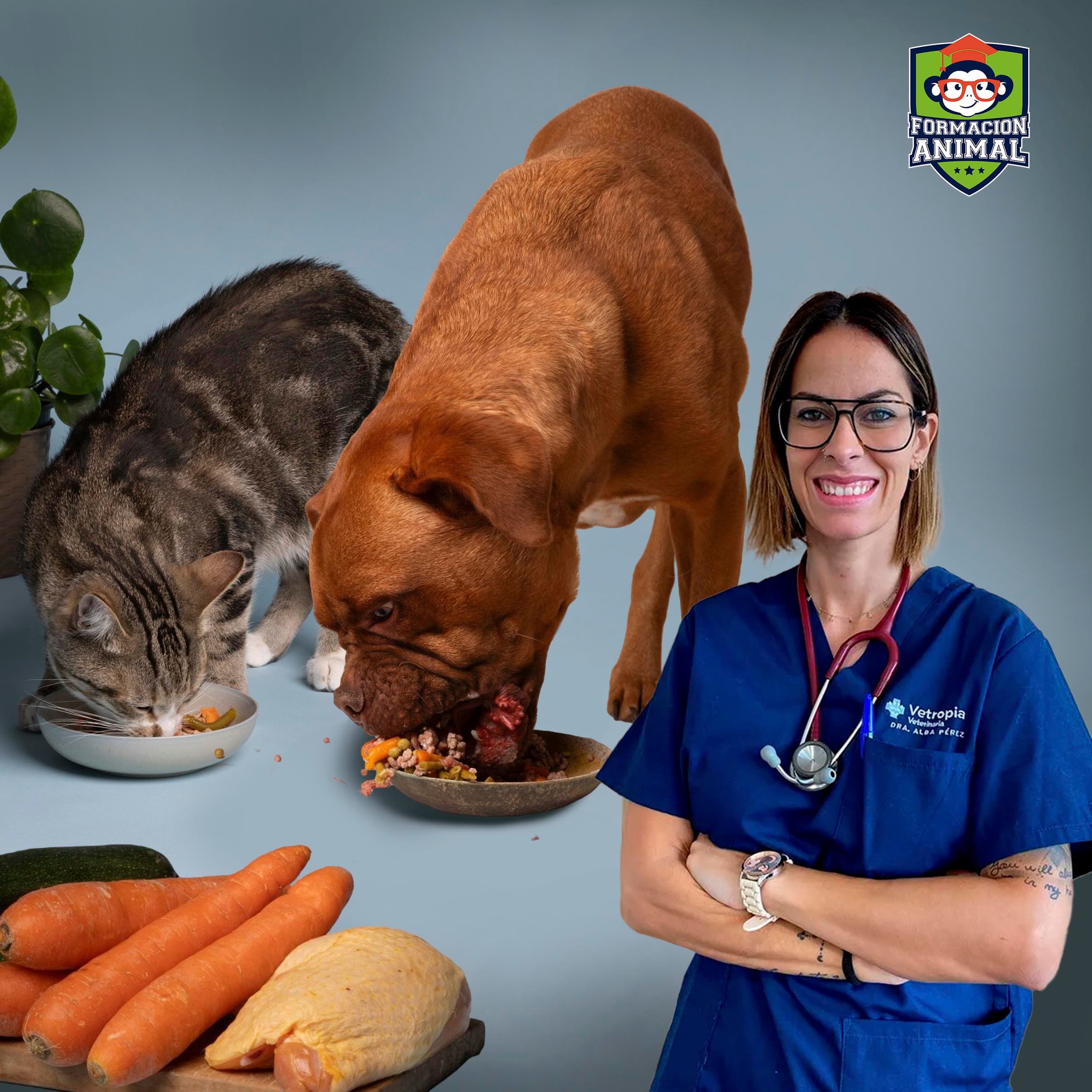 Introducción a la alimentación natural para perros y gatos