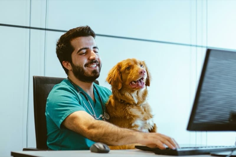 Veterinario trabajando frente al ordenador con un perro sentado a su lado