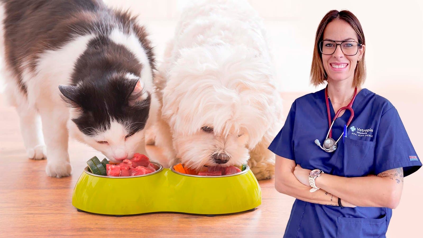 Introducción a la alimentación natural para perros y gatos