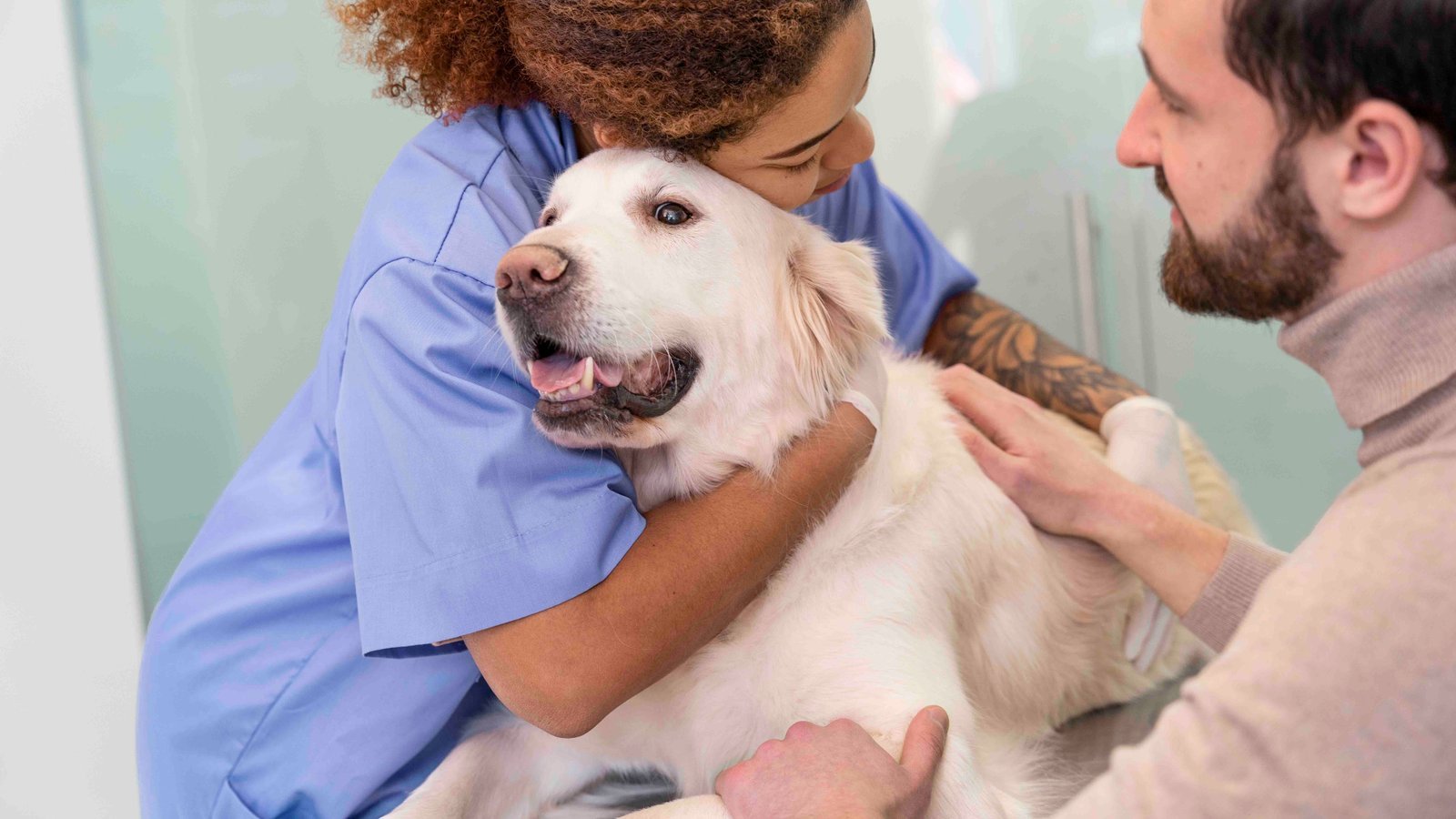 Nueva guía de oncología de la AAHA 2026 para perros y gatos
