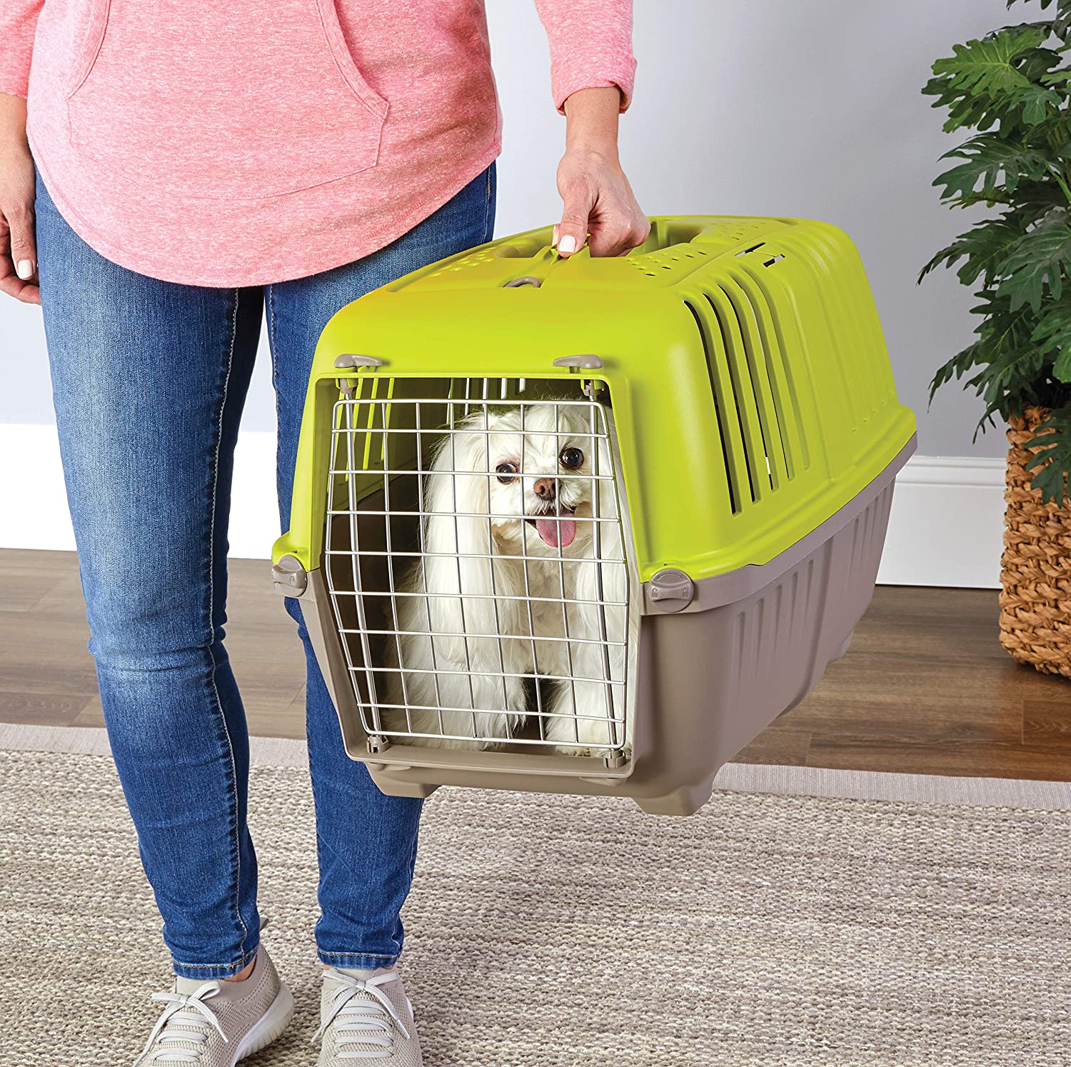 Transportín Para Mascotas 58 Cm (23'') - Con Dos Puertas, Plástico Resistente, Color Verde, Para Viajes